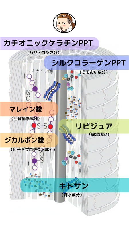 せるふトワトリートメント説明